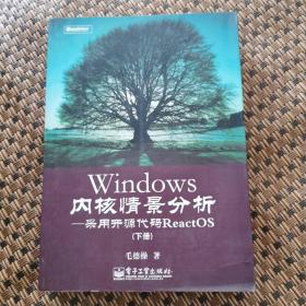 Windows内核情景分析：采用开源代码ReactOS（下册单一本）