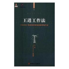 王进工作法：±660kV直流架空输电线路带电作业/大国工匠工作法丛书