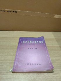 人体动脉解剖模式图谱:正常及变异