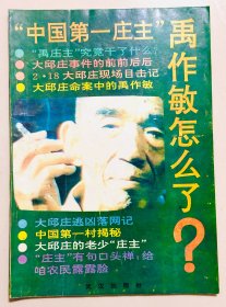 中国第一庄主禹作敏怎么了？