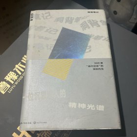 洞背笔记:300条现代汉诗的深知灼见