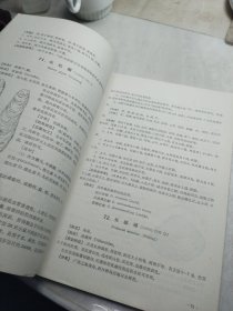 中国药用海洋生物