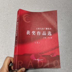 云南人民广播电台获奖作品选