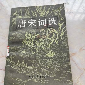 唐宋词选