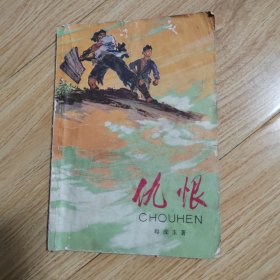仇恨