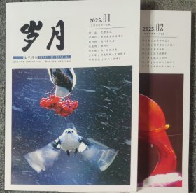 《岁月》杂志2025年第2、3、4、5期任一期（请书友下单注明，未注明随机发货）