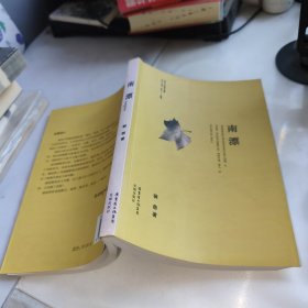 南漂