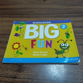 WORKBOOK BIG FUN2