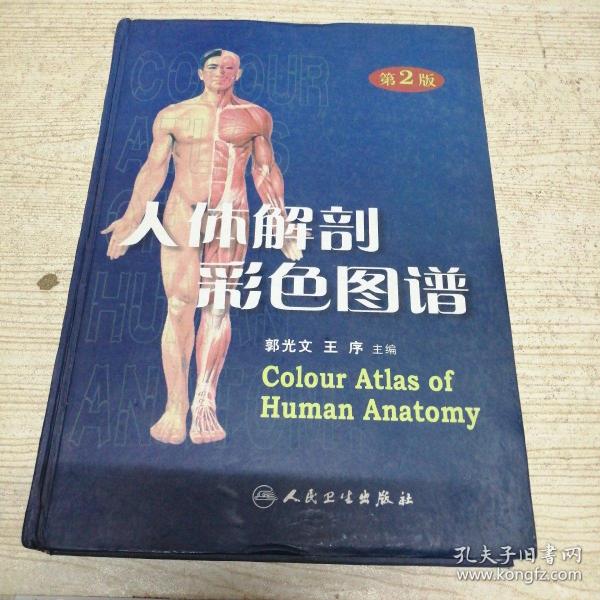 人体解剖彩色图谱