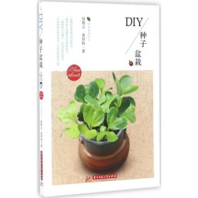 DIY种子盆栽