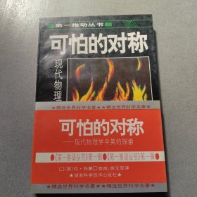 可怕的对称：现代物理学中美的探索