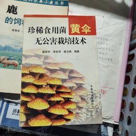 珍稀食用菌黄伞无公害栽培技术