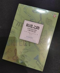 精进之路：从新手到大师的心智升级之旅 罗杰·尼伯恩