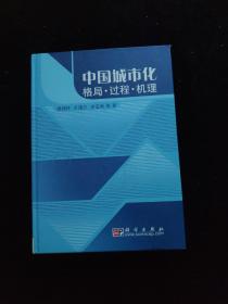 中国城市化：格局·过程·机理