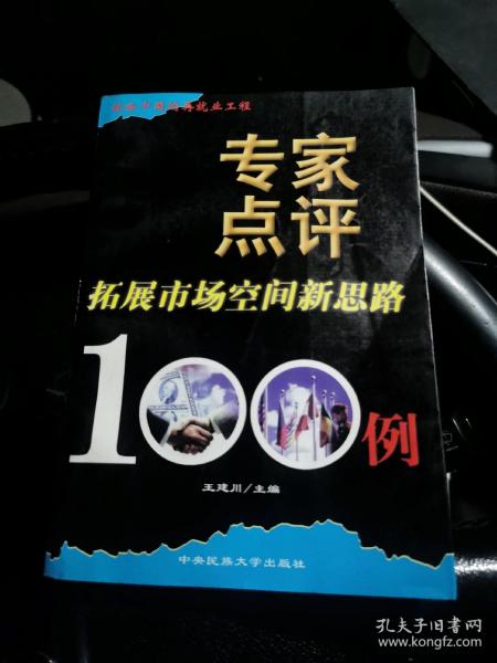 专家点评拓展市场空间新思路100例