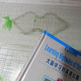 大脑学习的高速公路:儿童早期的大脑开发