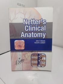 netter s clinical anatomy