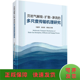 页岩气解吸-扩散-渗流的多尺度传输机理研究