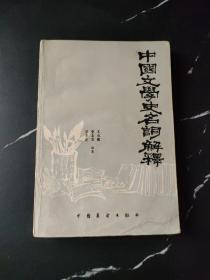 中国文学史名词 解释