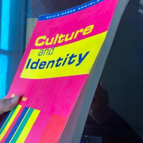 Culture amd identity cultural studies history of culture origin 文化与身份 英文原版