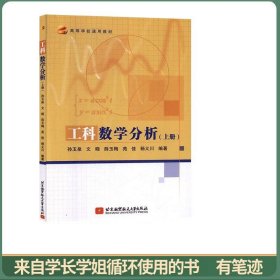 工科数学分析（上册）