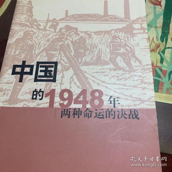 中国的1948年：两种命运的决战