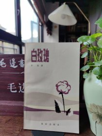 白玫瑰