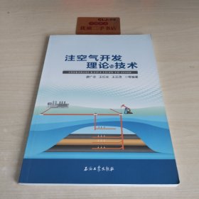 注空气开发理论与技术