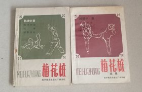 梅花桩 梅花桩续集 二册