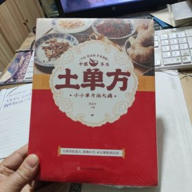 土单方 中医书籍养生偏方大全民间老偏方美容养颜常见病防治 保健食疗偏方秘方大全小偏方老偏方