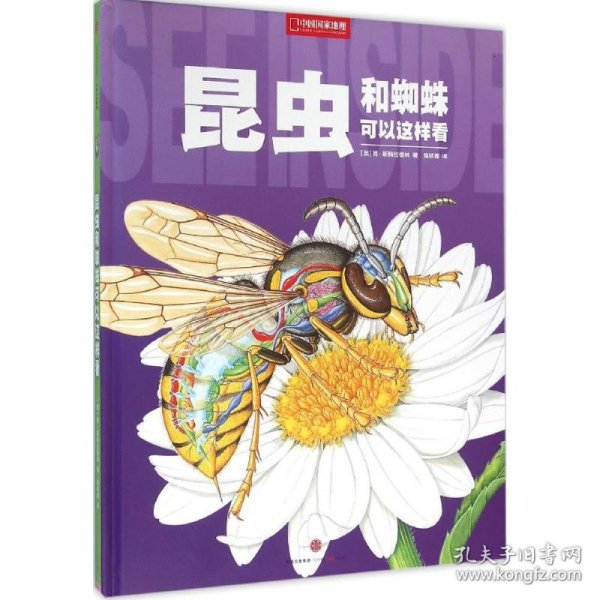 昆虫和蜘蛛可以这样看