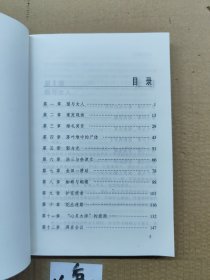 名琅庄:金田一探案续集 迷路的新娘