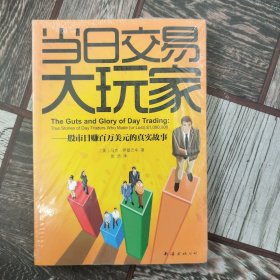 "当日交易大玩家:股市日赚百万美元的真实故事