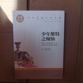 少年维特之烦恼
