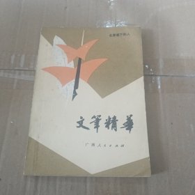 文笔精华