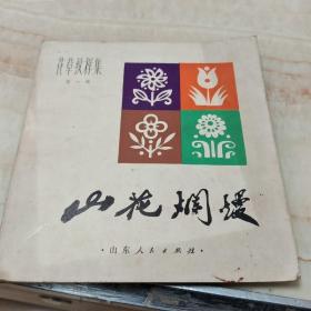 花草纹样集；山花烂漫