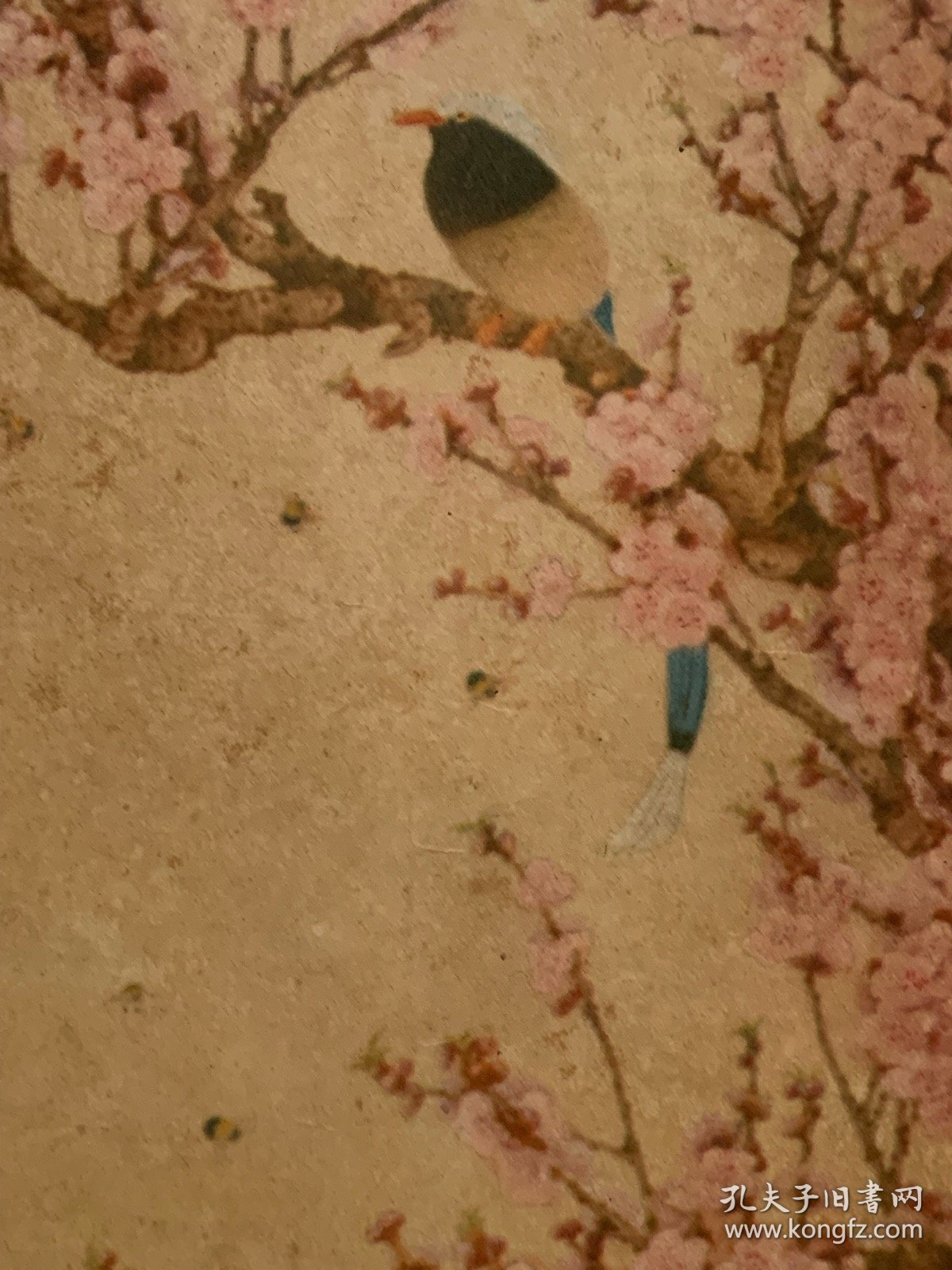 50年代老画片，于非闇《花鸟》