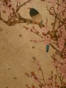 50年代老画片，于非闇《花鸟》