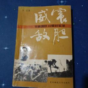 威震敌胆－节振国抗日锄奸实录