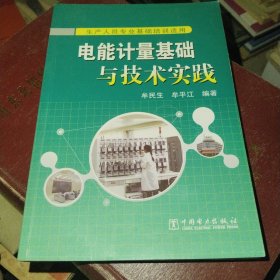 电能计量基础与技术实践