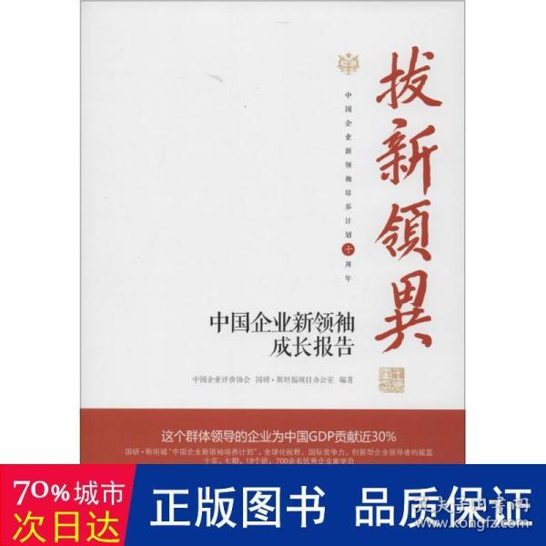 拔新领异 中国企业新领袖成长报告