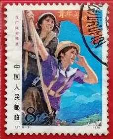 中国邮票 t17 1976年 广阔天地 改天换地新一代 6-3 信销