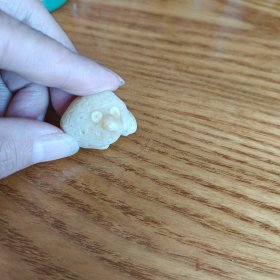 可爱的小狗