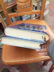 安顺市志(上下)