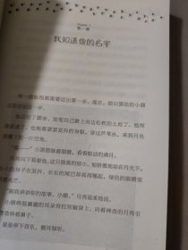 长青藤:一只猫的使命