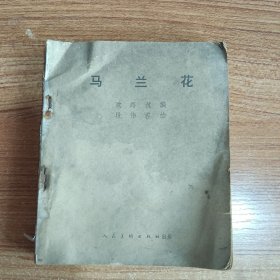 马兰花