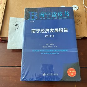 南宁蓝皮书：南宁经济发展报告（2019）