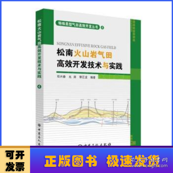 松南火山岩气田高效开发技术与实践