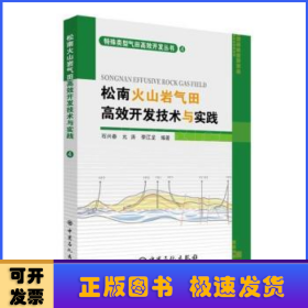 松南火山岩气田高效开发技术与实践