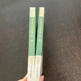 白痴(上下)